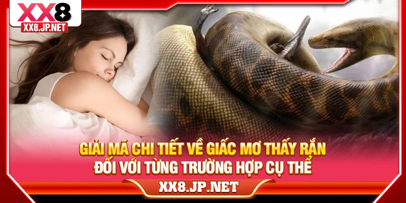 Giải mã chi tiết về giấc mơ thấy rắn đối với từng trường hợp cụ thể