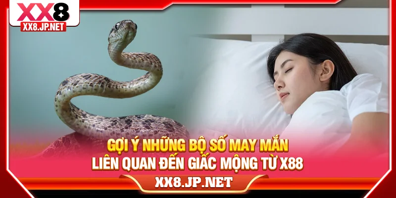 Gợi ý những bộ số may mắn liên quan đến giấc mộng từ X88