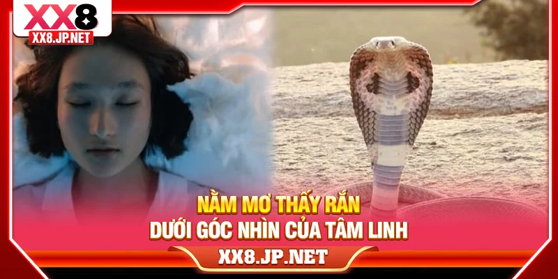 Nằm mơ thấy rắn dưới góc nhìn của tâm linh